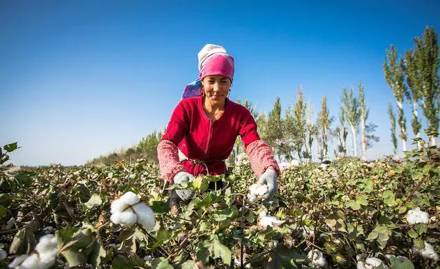 新疆的土特产有哪些？