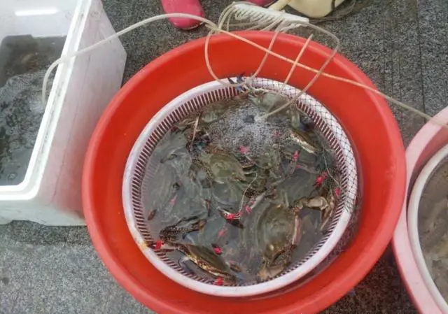 有哪些不错的海岛旅游推荐，最好实惠点的，类似马尔代夫普吉岛之类的？