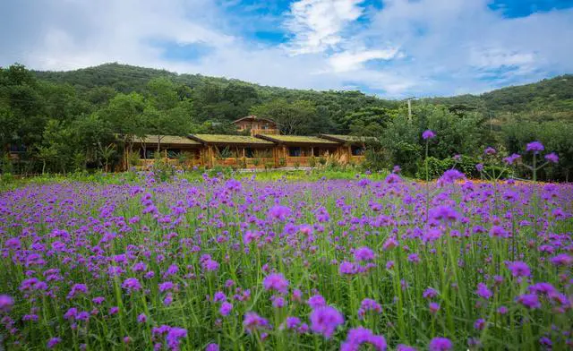 你住过的有特色的民宿是什么样子的？