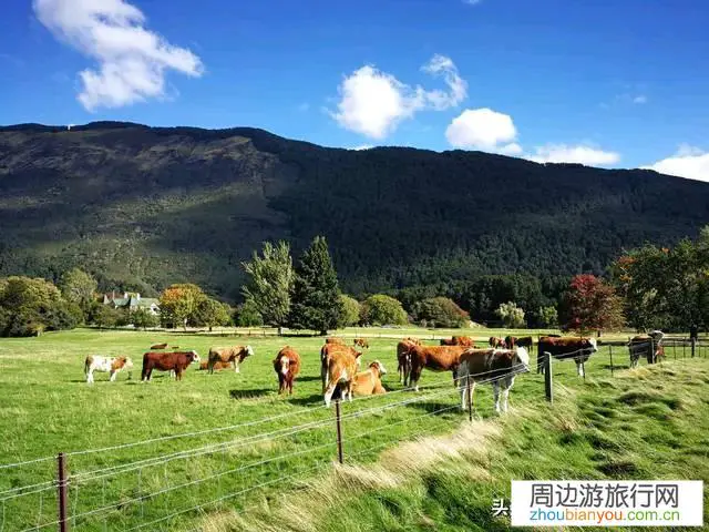 去新西兰旅游什么线路值得推荐？几月出游合适？
