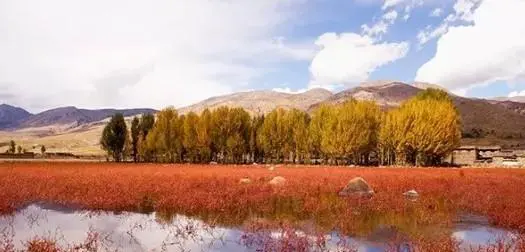 稻城亚丁旅游攻略自由行攻略