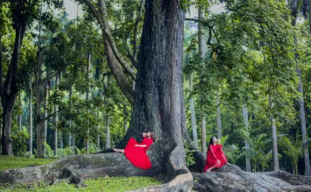 出发去旅行前要打包什么行李？