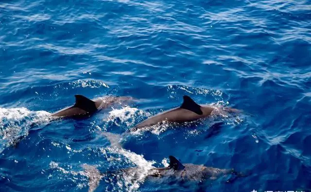 去弯弯需要准备什么东西？有护照就能直接去吗？