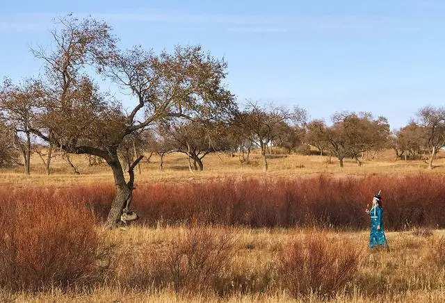 内蒙古有哪些知名的大草原?