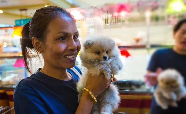 独自去泰国曼谷旅行，语言的重要性有多大？