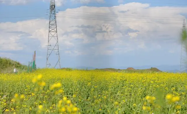 你觉得张北草原的魅力在哪里？