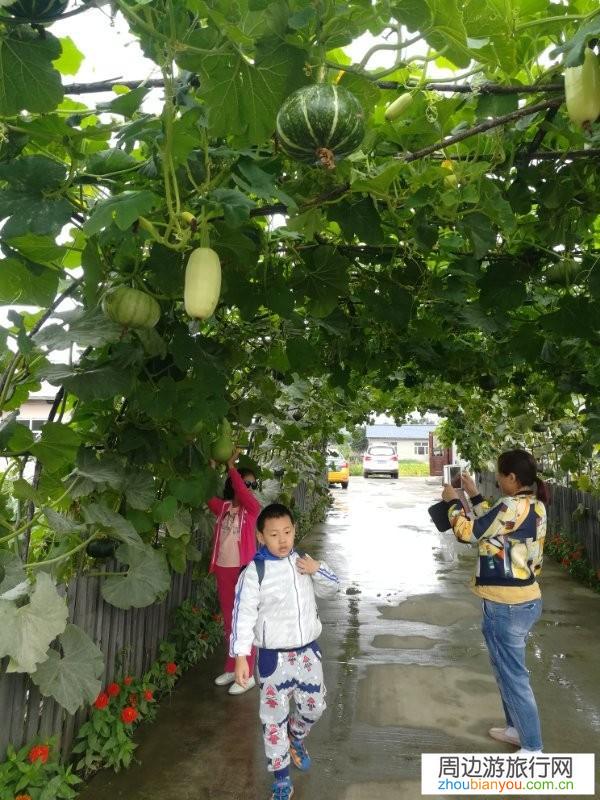 快暑假了，一家人国内旅游，一周左右的时间，有什么地方推介？