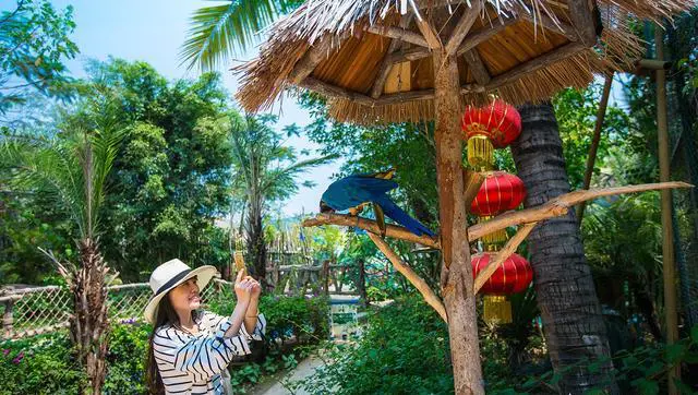 一家三口想去三亚，五千预算可以住海景房吗？