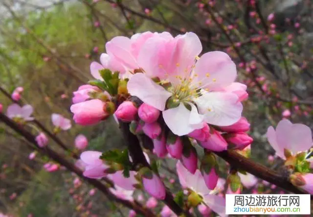 桂林阳朔这座小城怎么样？