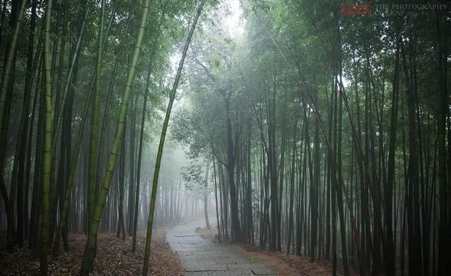 杭州有哪些著名的小众景点？