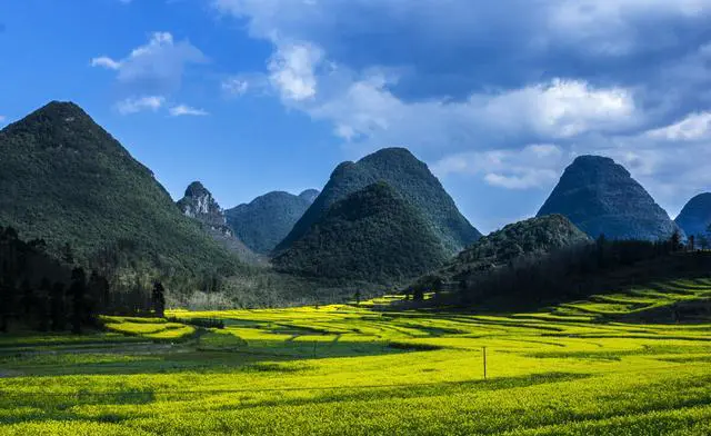中国哪里有花海?国内花海旅游景点