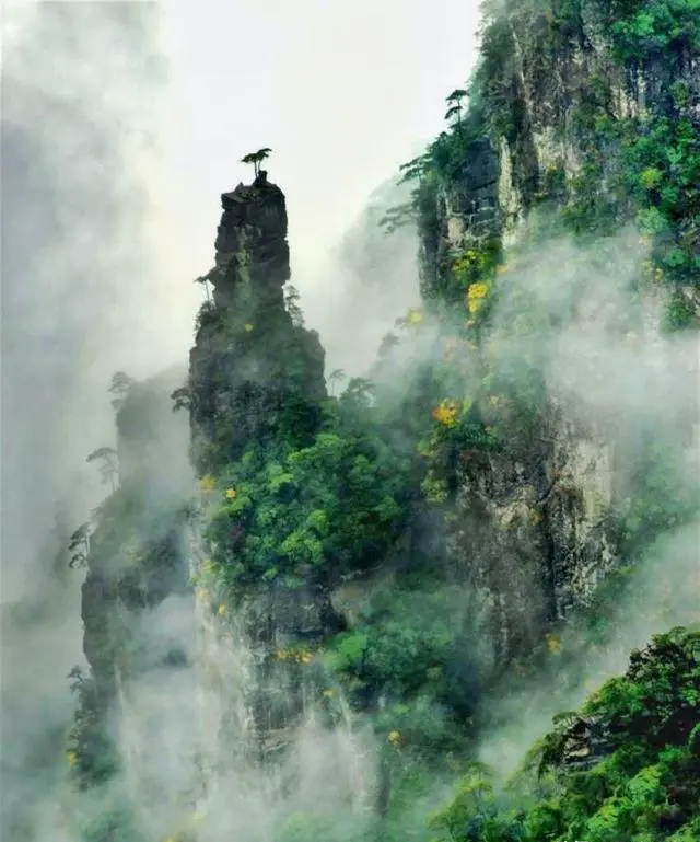 一直想去梵净山，听说有好多台阶，体力不是很好的人，能上去吗？