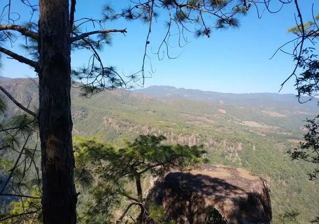 放假你计划要去云南哪个地方旅游？