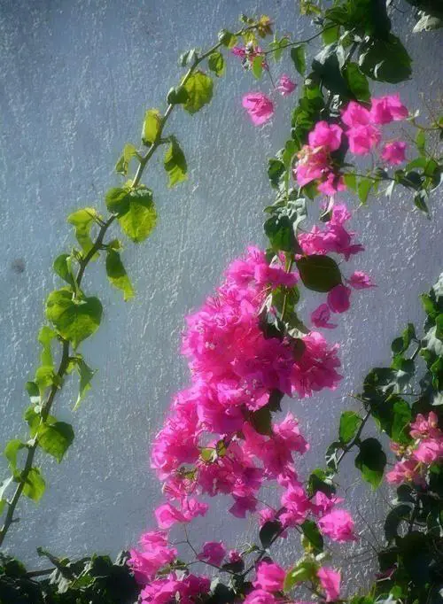 你遇见过一起出门旅游一毛不拔的人吗？是一种怎样的体验？