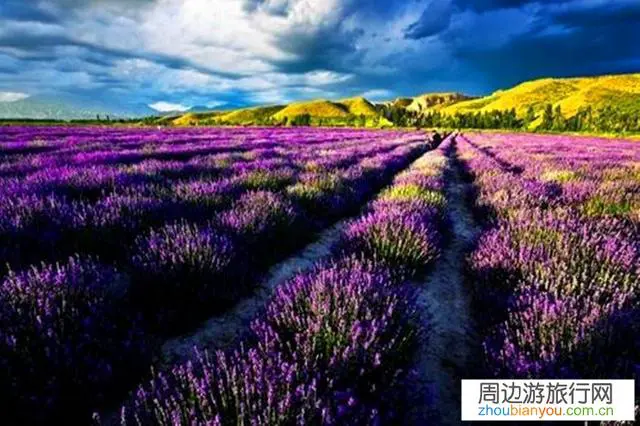 其它行业陆续开始复工了,旅游业的人怎么才能熬过?