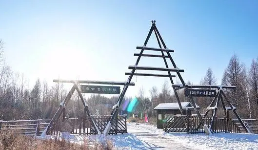 狍子是真的傻吗?