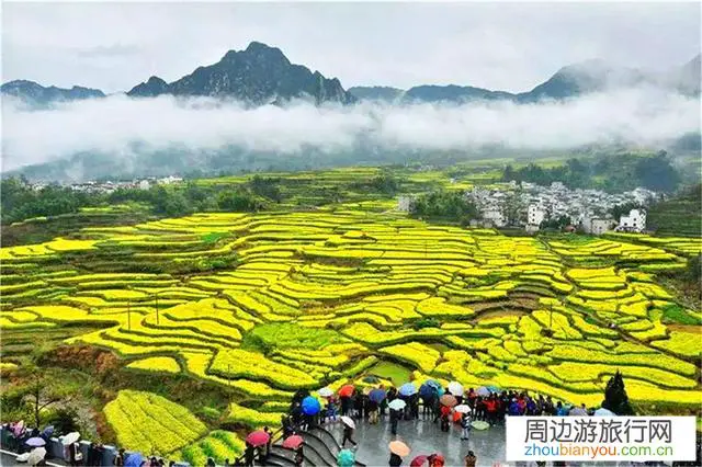 全面复工后，外出旅游会出现井喷现象吗？