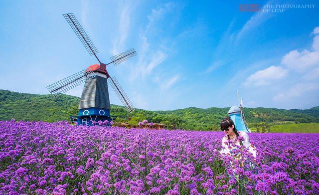 象山和普陀山哪个好玩？