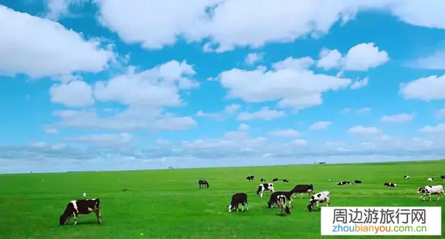 我是湖南怀化的去草原的最佳路线怎么走？