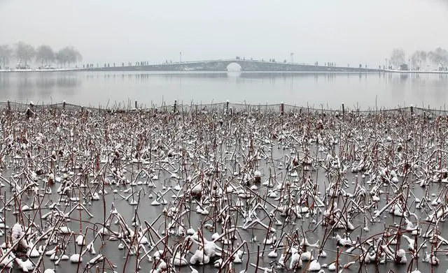 冬天的西湖是一番什么样的景象？