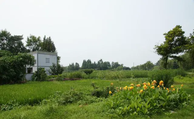 三星堆遗址在哪里？三星堆为什么被称为奇迹？