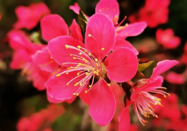 人为什么要旅游。旅游看什么?