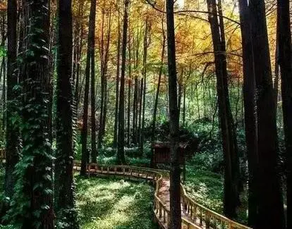 信阳哪里好玩？