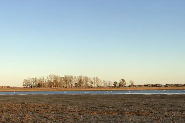 内蒙古有哪些知名的大草原?