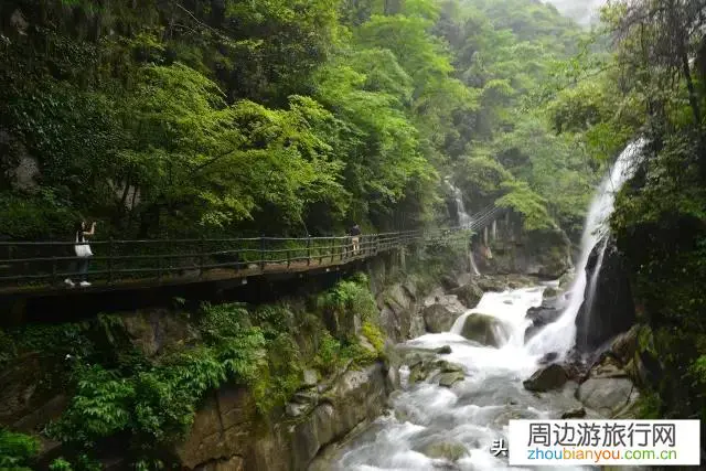 请问五一一家三口去江西婺源玩五天，如何安排？