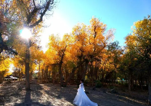 旅游途中，我和女友闹了矛盾，她要中止行程，和我分手，我该怎么做？