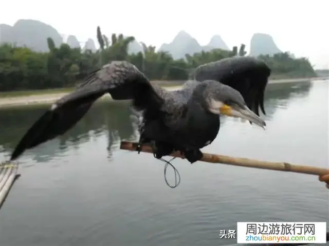 桂林阳朔这座小城怎么样？