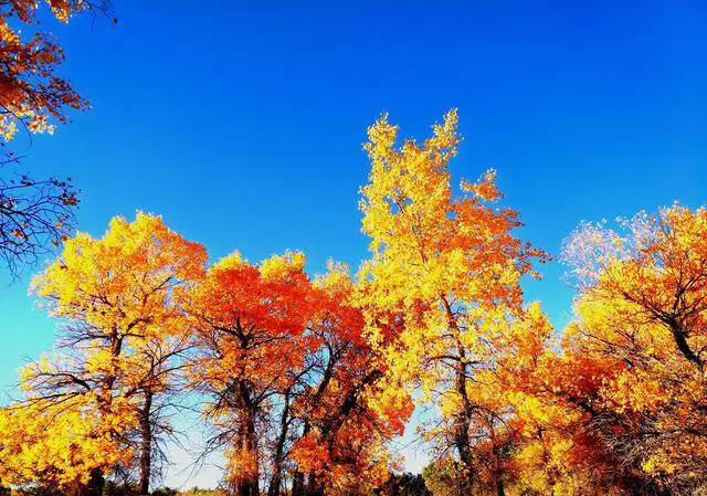 退休后喜欢自驾游的老年人，收获的是什么？