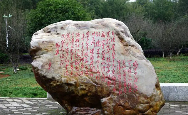 长沙附近好玩的地方景点推荐