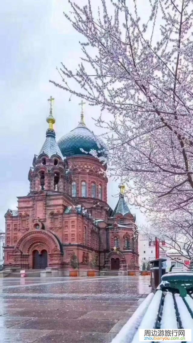 现在出去旅游需要注意些什么啊？哪里比较凉快啊？