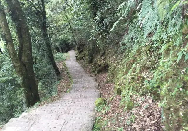 弯弯环岛自由行有什么旅游攻略吗？