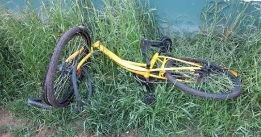 杭州一公园河水被抽干，河底出现大批共享单车，这事你怎么看？