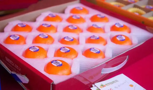 你觉得南宁怎么样？