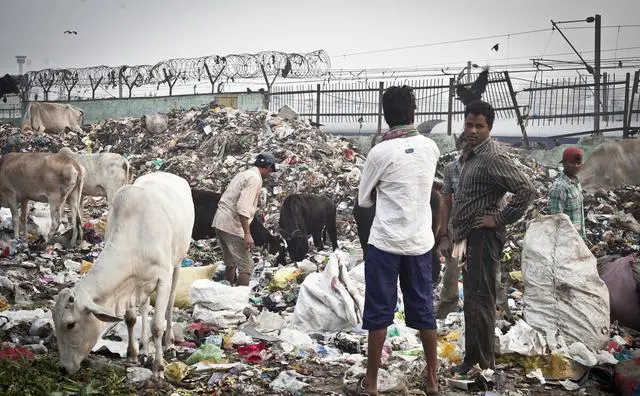 印度手抓饭不脏吗？