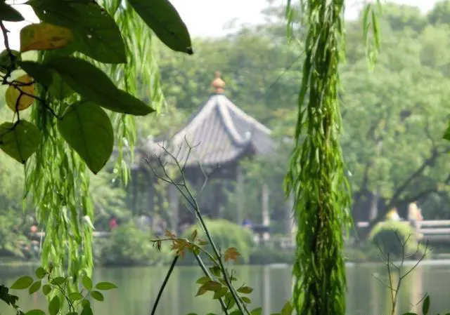 三潭印月有什么特色？