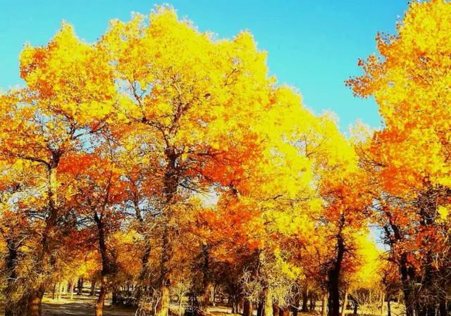 去西北自驾,什么车比较合适?