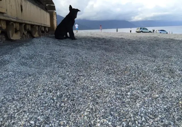 花莲旅游怎么样？