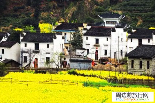 婺源是最美乡村，去婺源旅游还有什么可看的吗？除了油菜花？