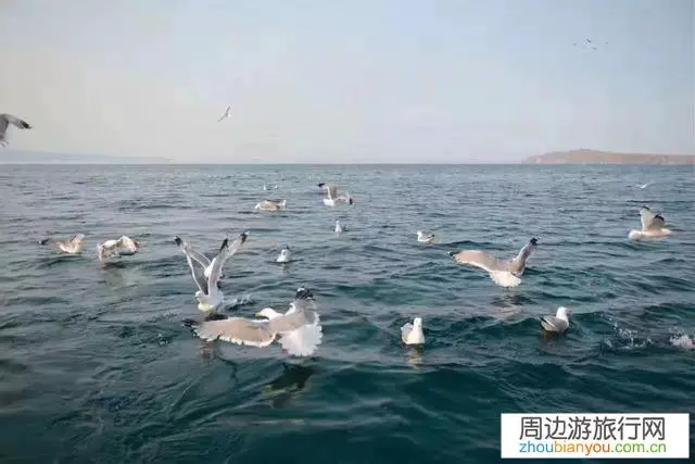 你在贝加尔湖有哪些游玩的经历值得分享？