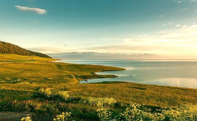 中国哪里有花海?国内花海旅游景点