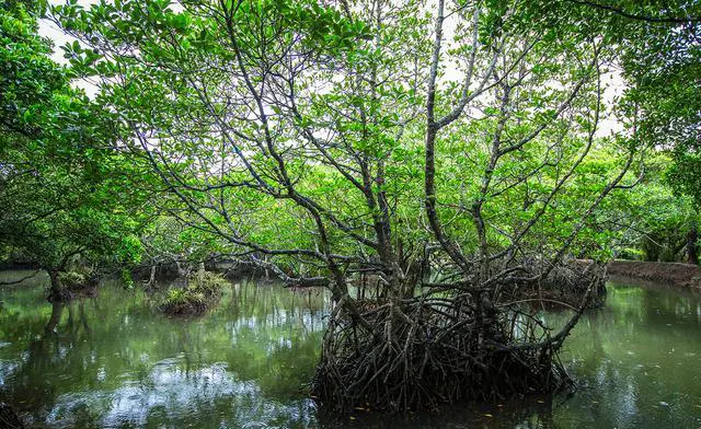 海南除了三亚还有哪里比较好玩的地方？