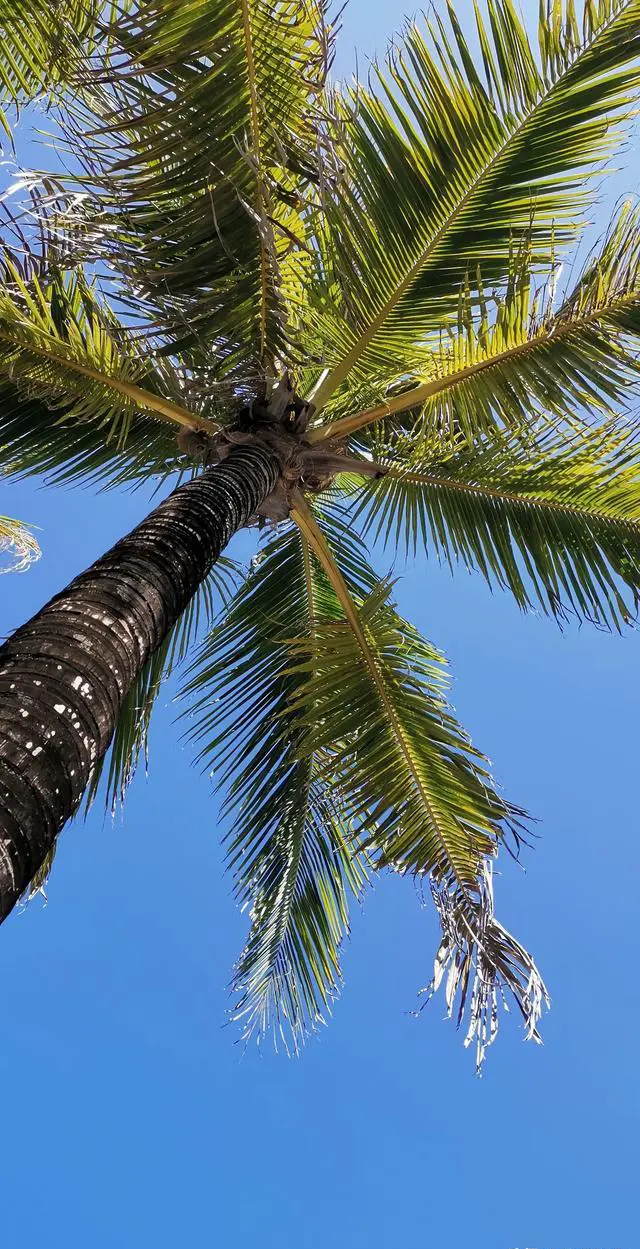 海南岛有多大？