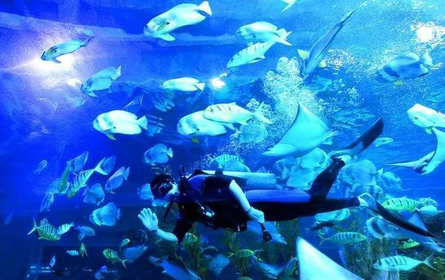 去青岛旅游去哪些地方好玩？