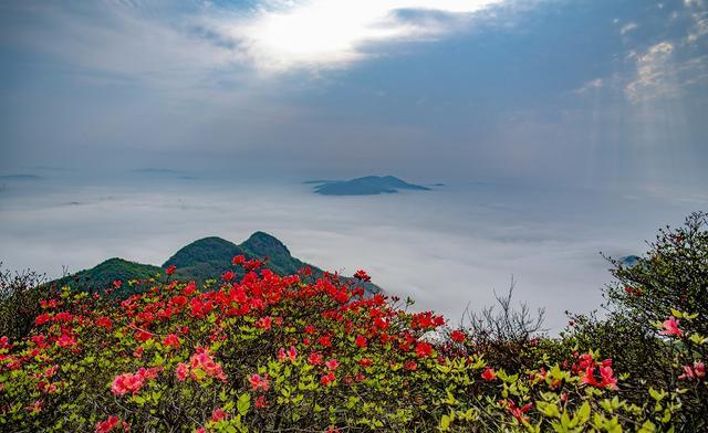 五一上海周边可以去哪里人少些？