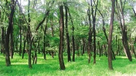 天津周末周边游目的地，周末必须安排！