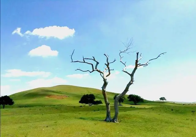 今年的这情况,去哪里旅游安全?